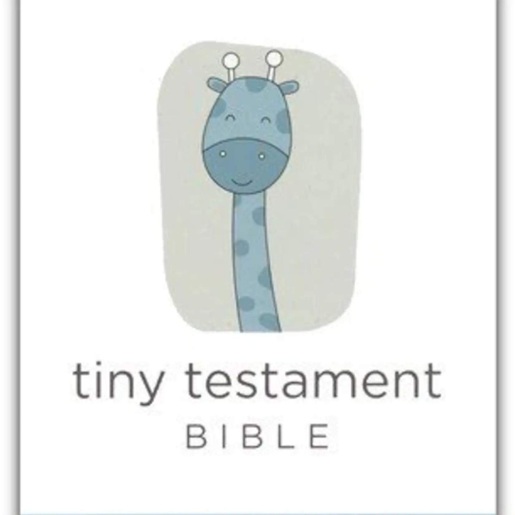 Zonder Kids NIV Tiny Testament Bible Blue