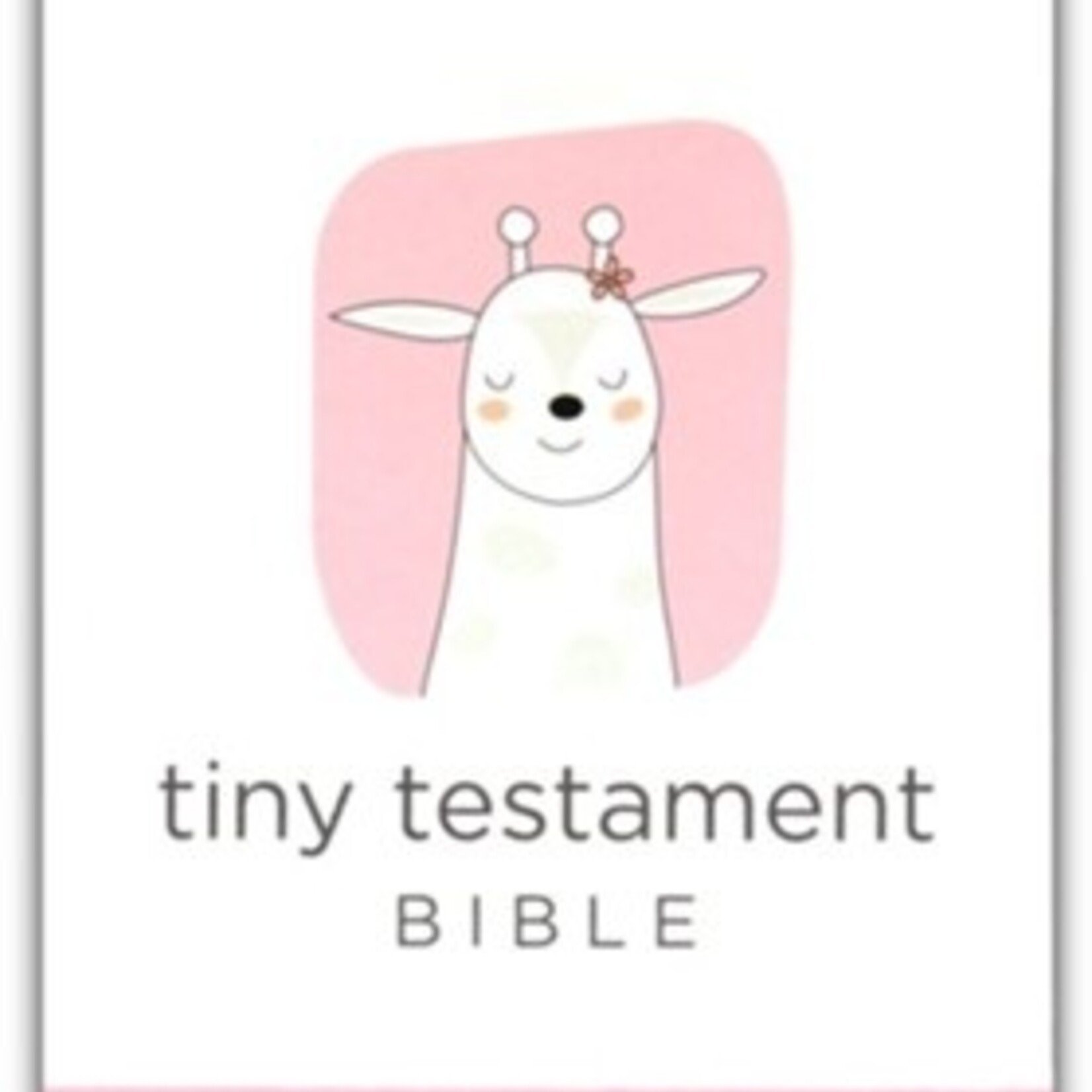 Zonder Kids NIV Tiny Testament Bible Pink