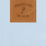 DaySpring KJV Baby Boy's First Bible