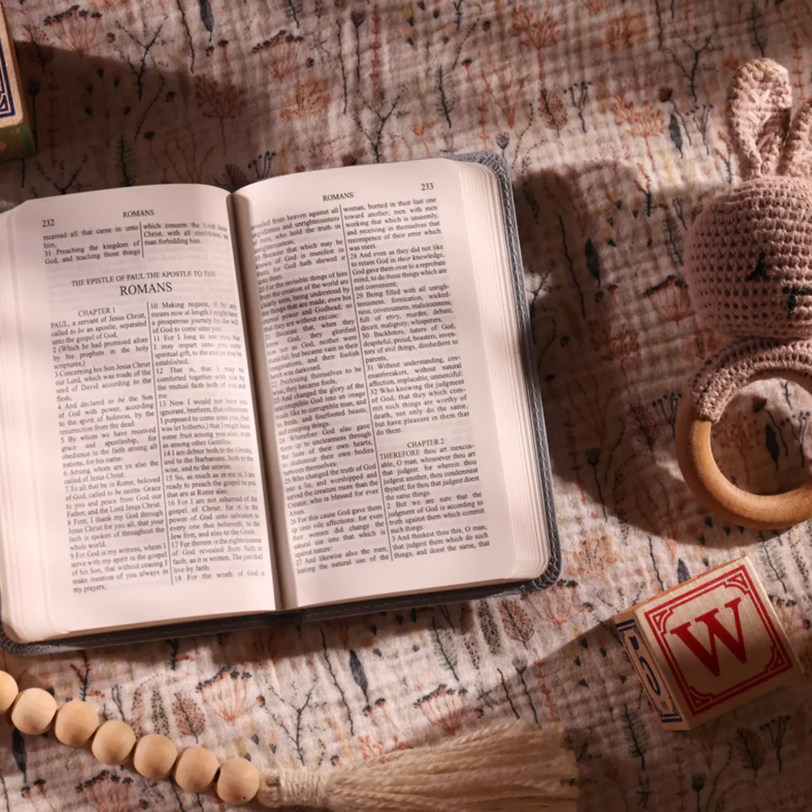 KJV Baby Boy's First Bible