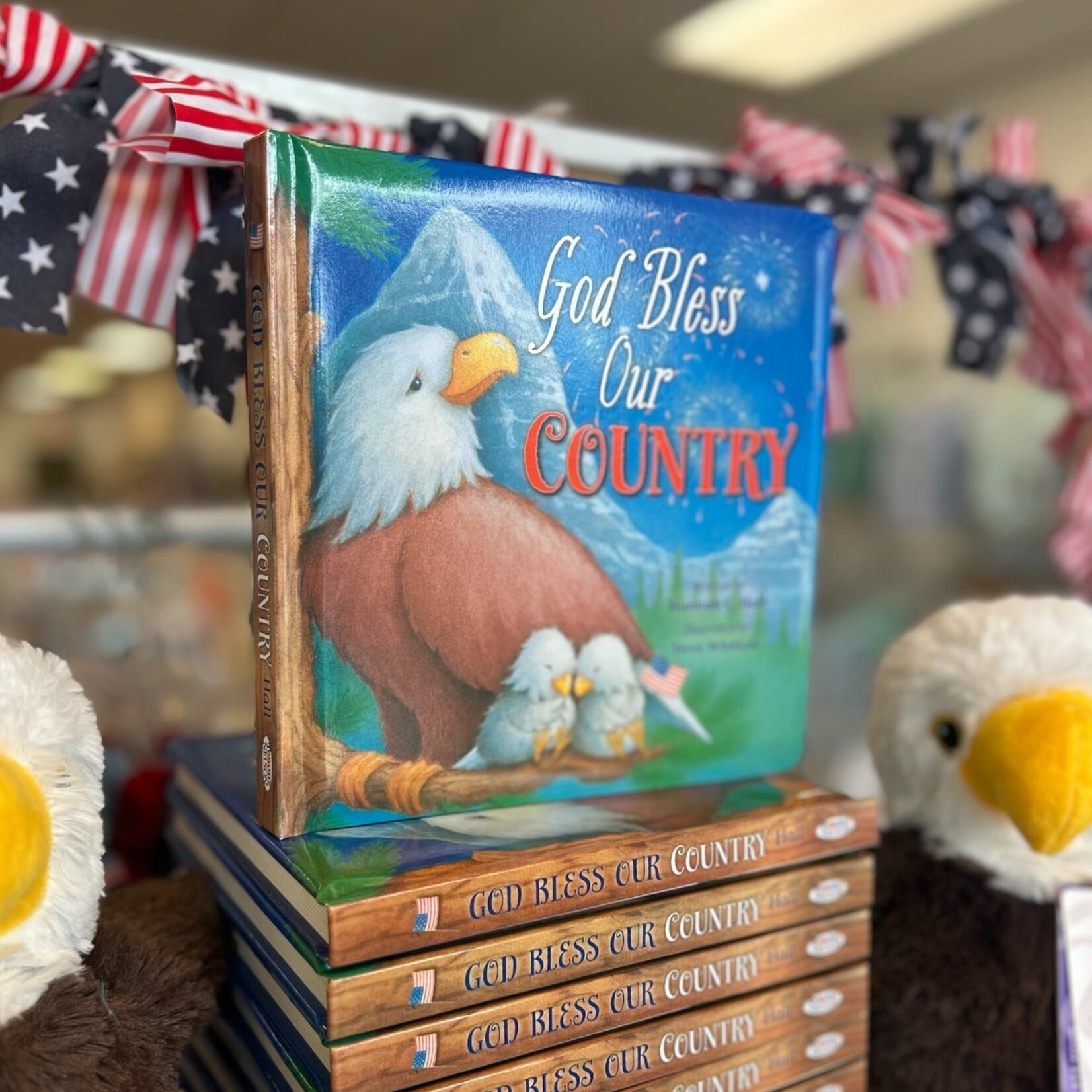 Tommy Nelson God Bless Our Country Book