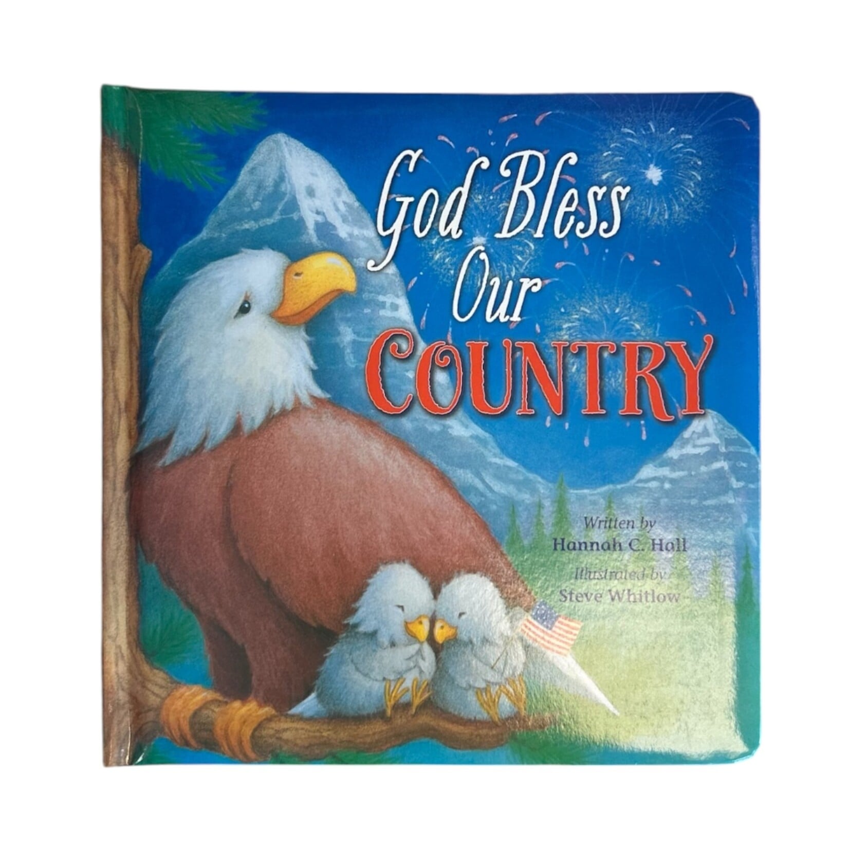 Tommy Nelson God Bless Our Country Book
