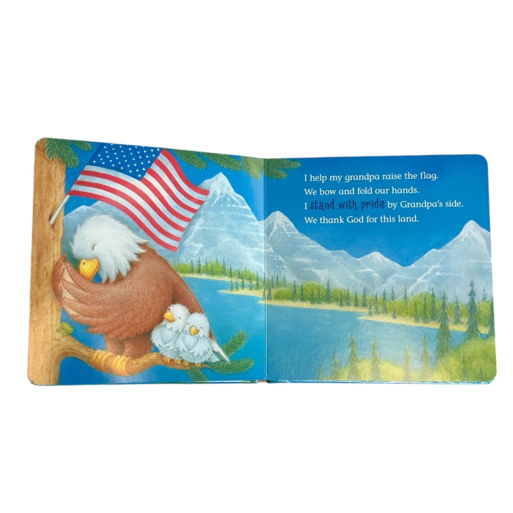 Tommy Nelson God Bless Our Country Book