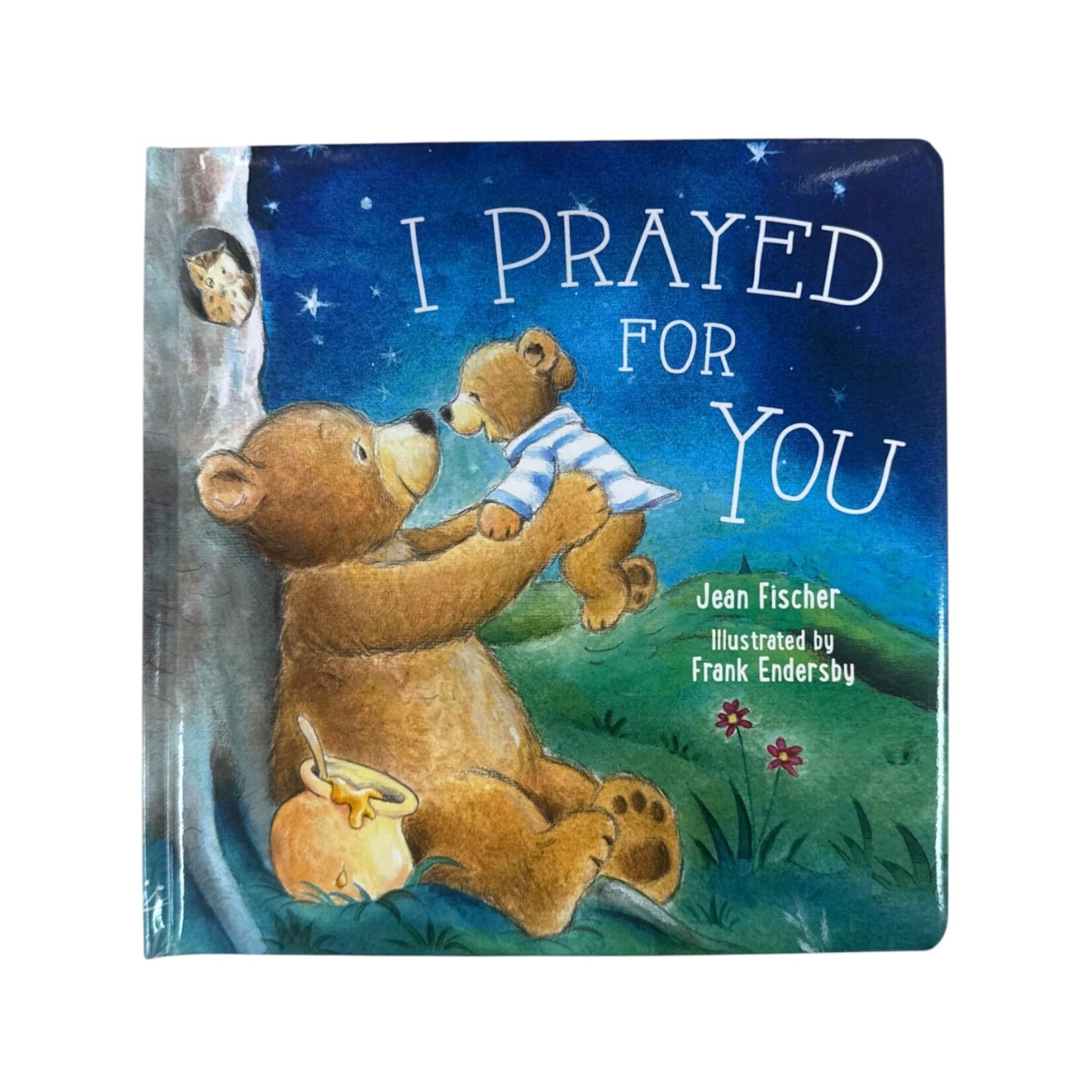 I Prayed For You Book