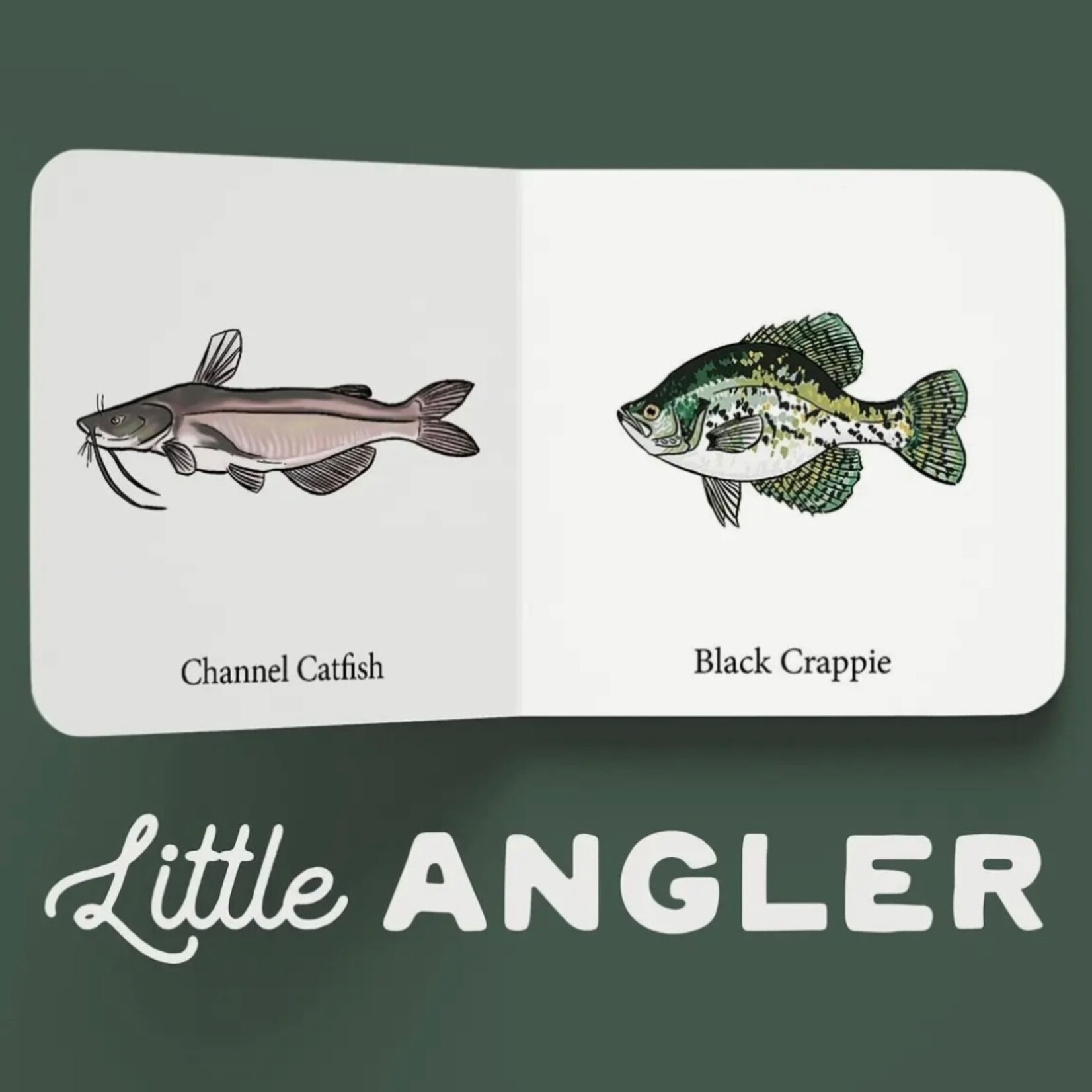 Explore the Outdoors Little Angler Book Set