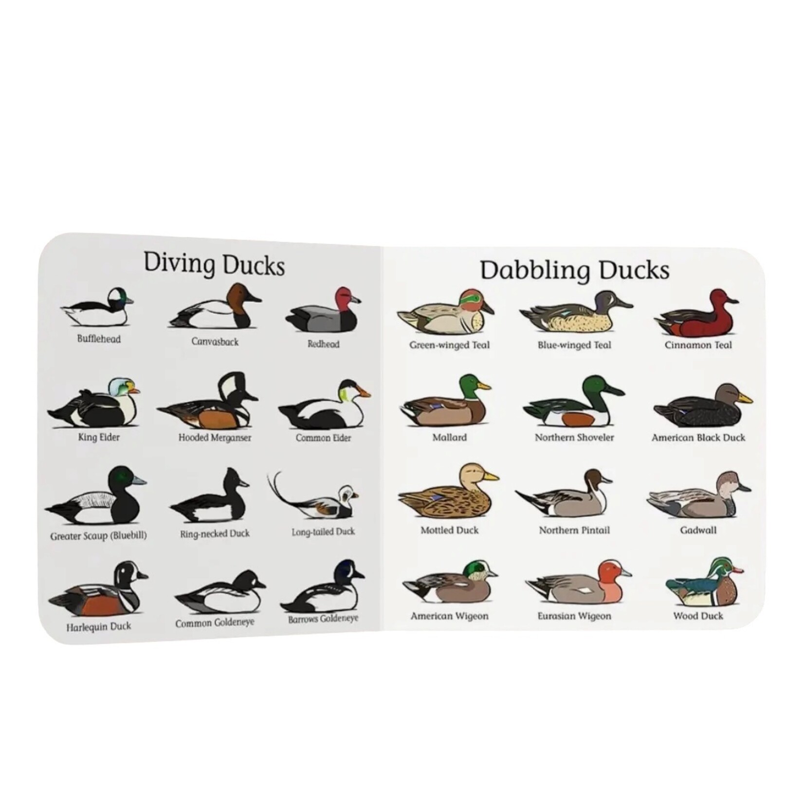 Explore the Outdoors Duck Hunt Book
