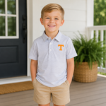 Grey Stripe Power T Polo