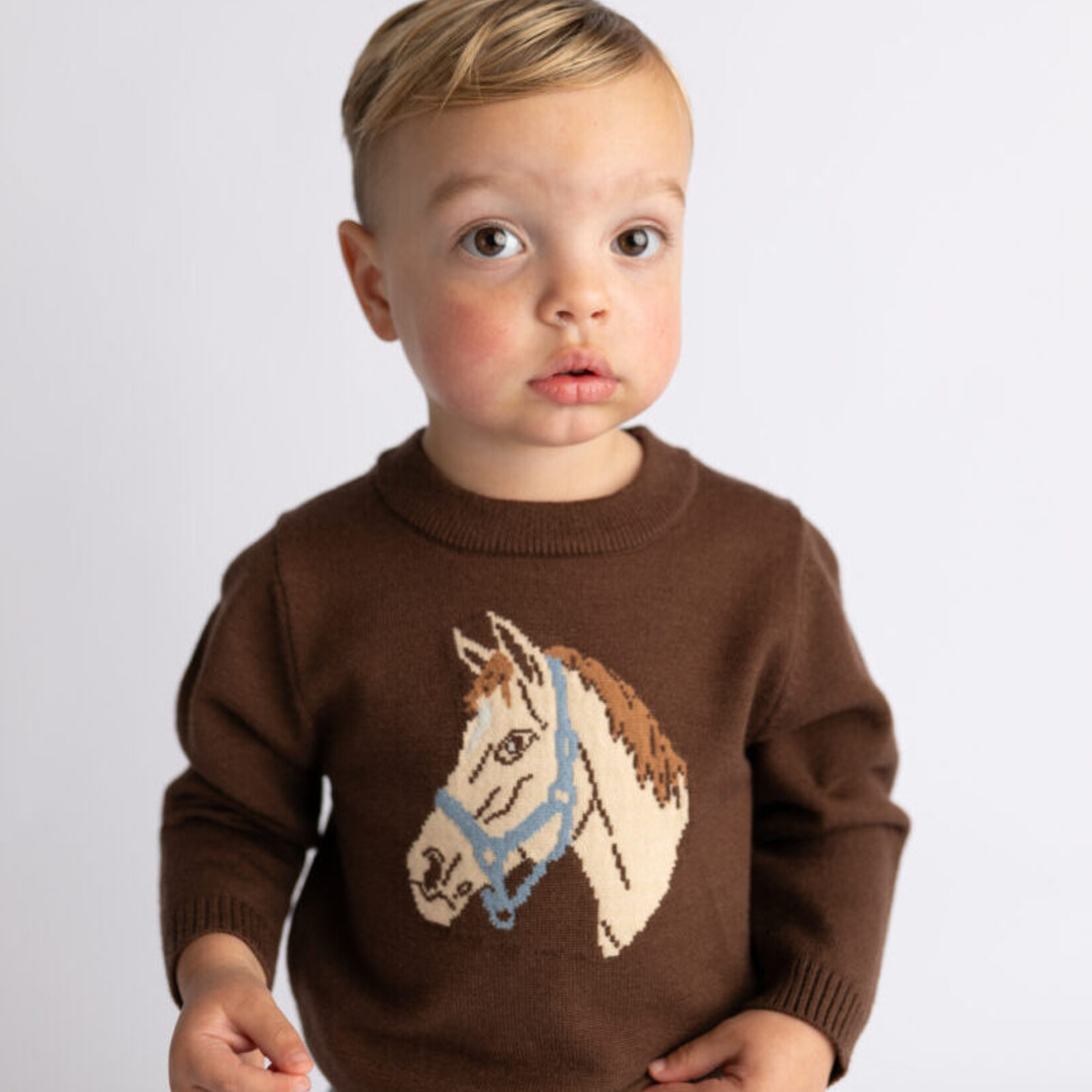 Emma Jean Horse Sweater
