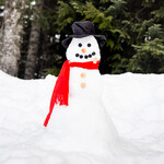 Build Your Own Snowman Kit