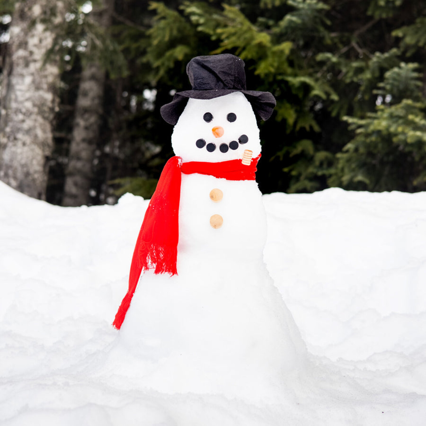 Build Your Own Snowman Kit