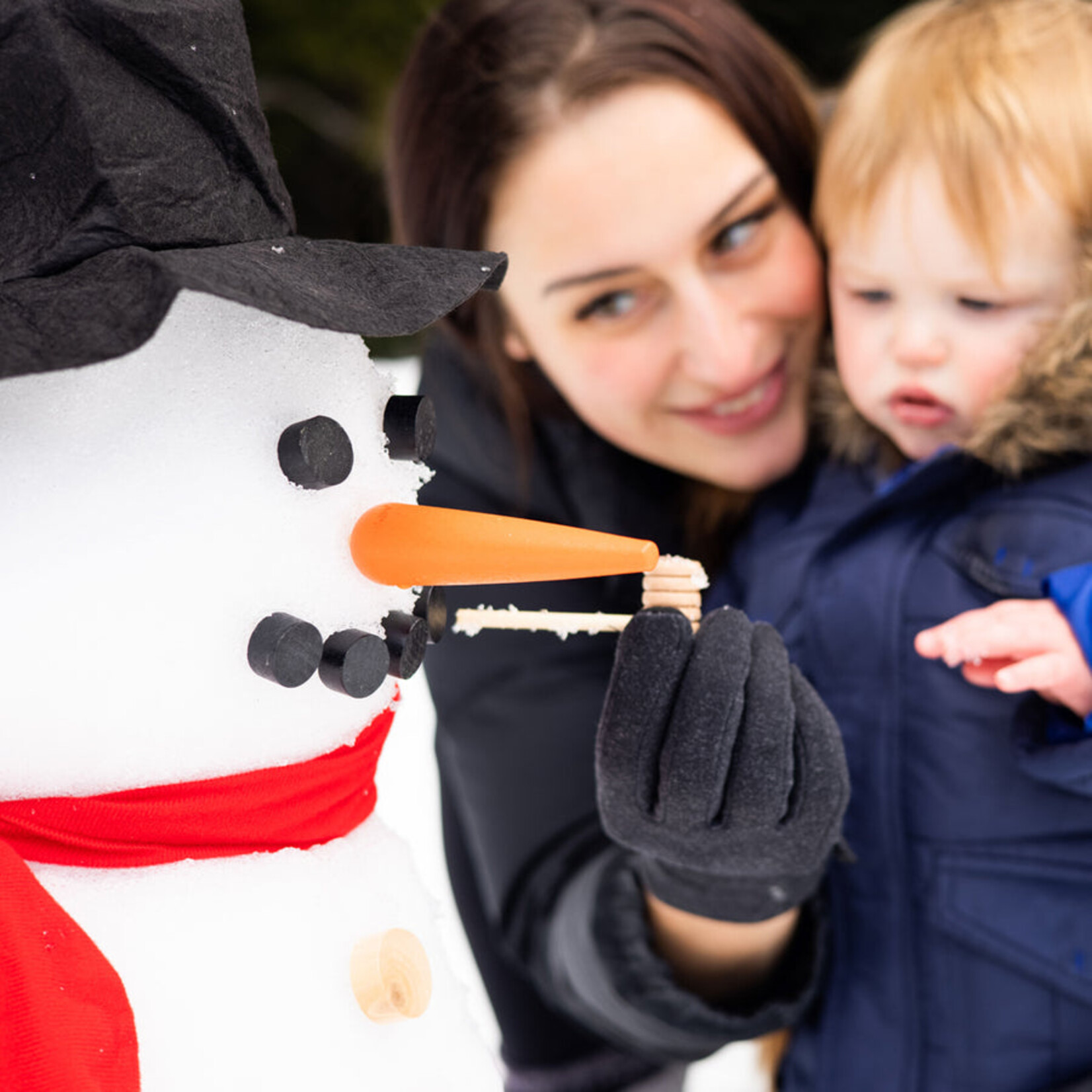 Build Your Own Snowman Kit