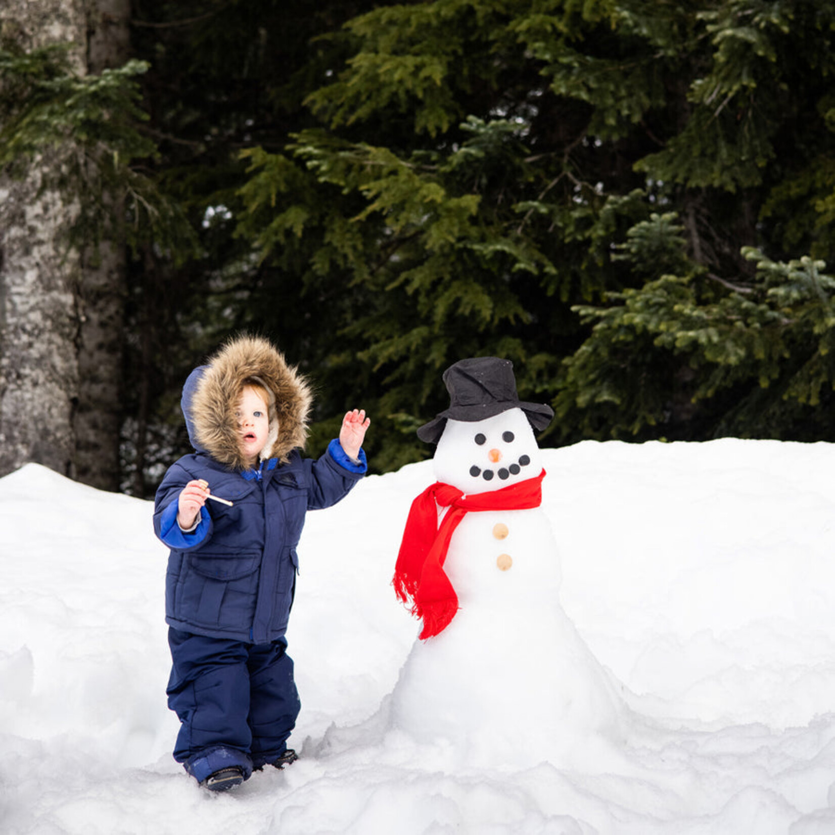 Build Your Own Snowman Kit