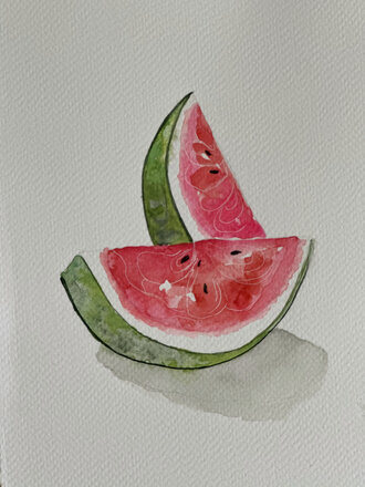 Don de 10$ pour Gaza Don de 10$ pour Gaza