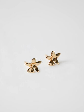 Wolf Circus Flower Studs . 14k gold plated