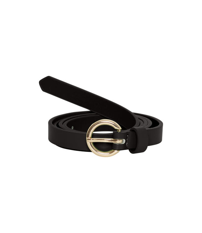 ICHI IASASKIA HIP BELT