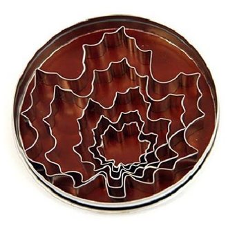 Foxrun FoxRun - Cookie Cutter Set - Maple Leaf