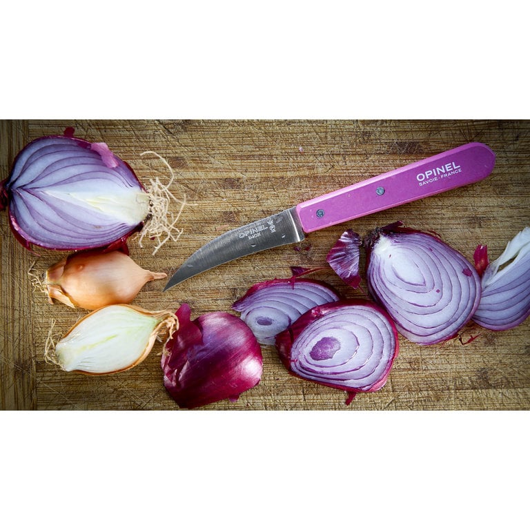 Couteau à fruits et légumes - Boutique de la Cuisine