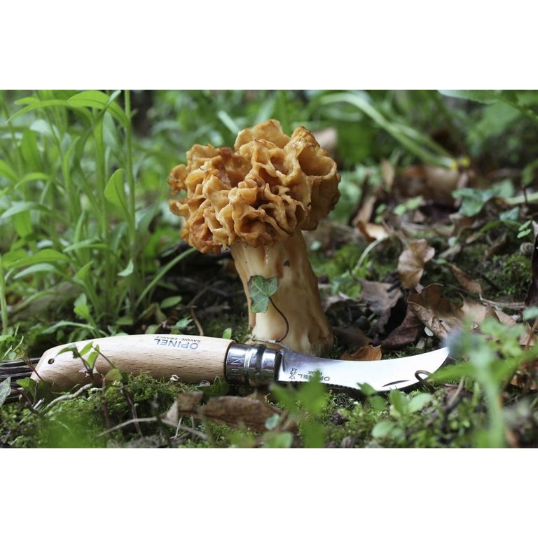 Opinel Opinel - Couteau Champignon N°08