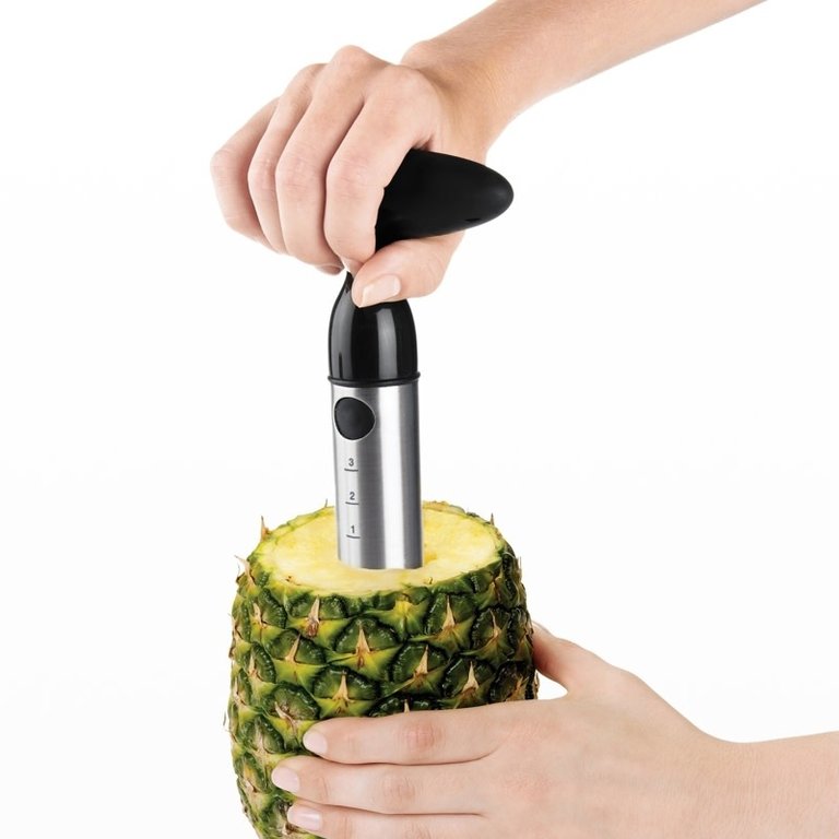 Oxo Oxo - Tranche-ananas - Inox