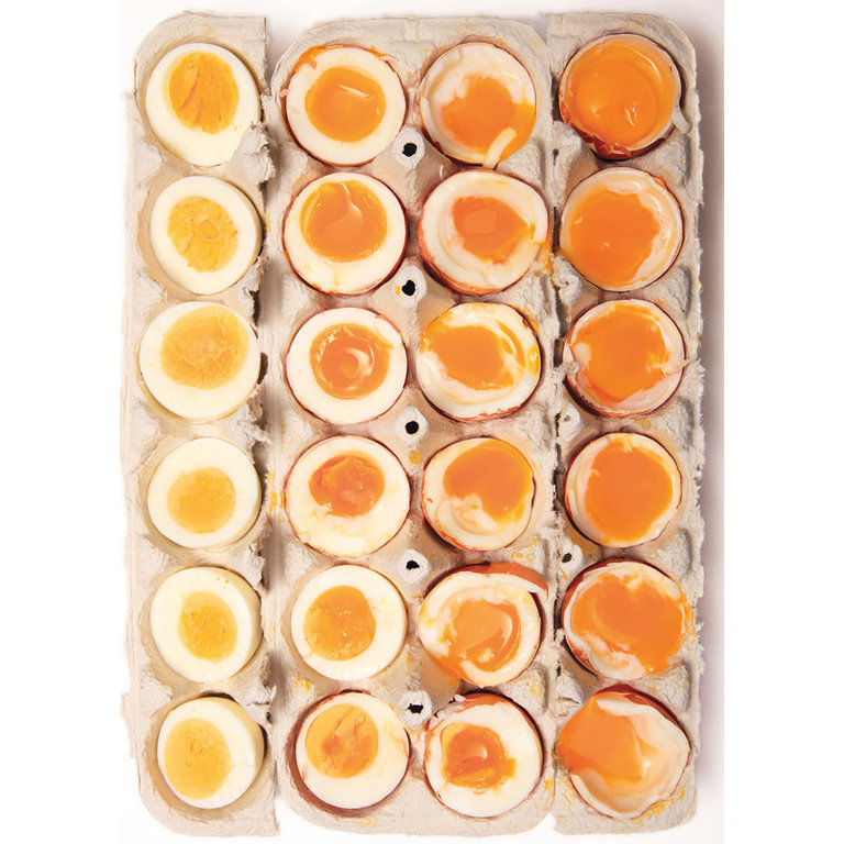 Random Livre de recettes - The Food Lab