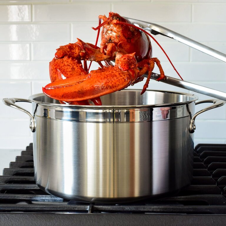 Hestan Hestan ProBond  Stock Pot 8Qt (7.5L) - Stainless Steel