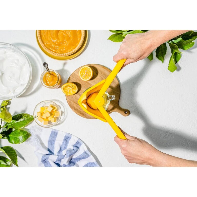 DreamFarm DreamFarm - Presse-Agrumes / Citrons - Fluicer