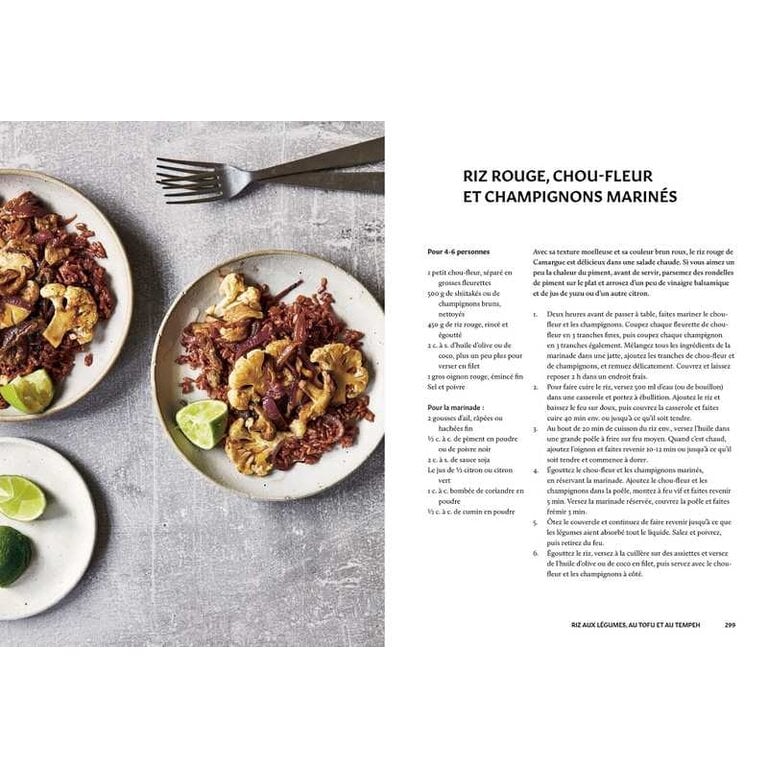 ADP Sri Owen - Riz (FR)