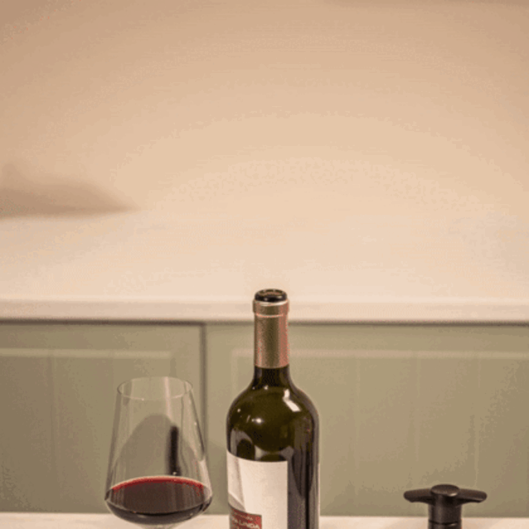 Vacuvin Vacuvin -  Pompe à Vin / Wine Saver  Original + 1 Bouchon -Noir