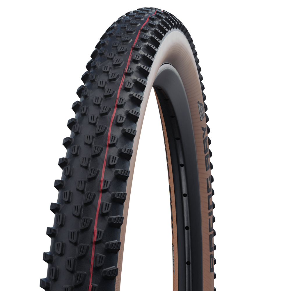 新品２本セット！SCHWALBE RACING RAY 29×2.1 TLタイヤ Schwalbe Racing Ray Folding Tire Super Race Casing