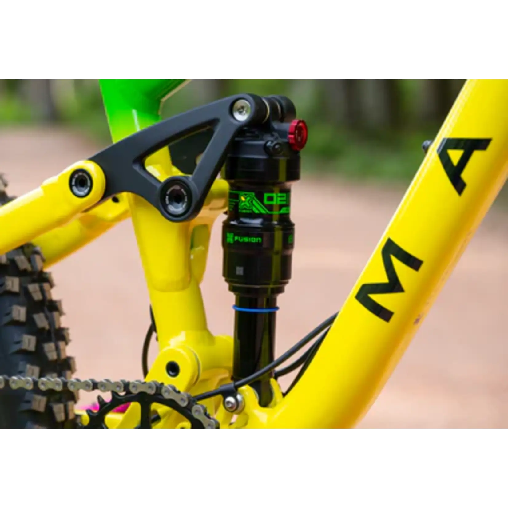 Marin Marin Rift Zone JR 24