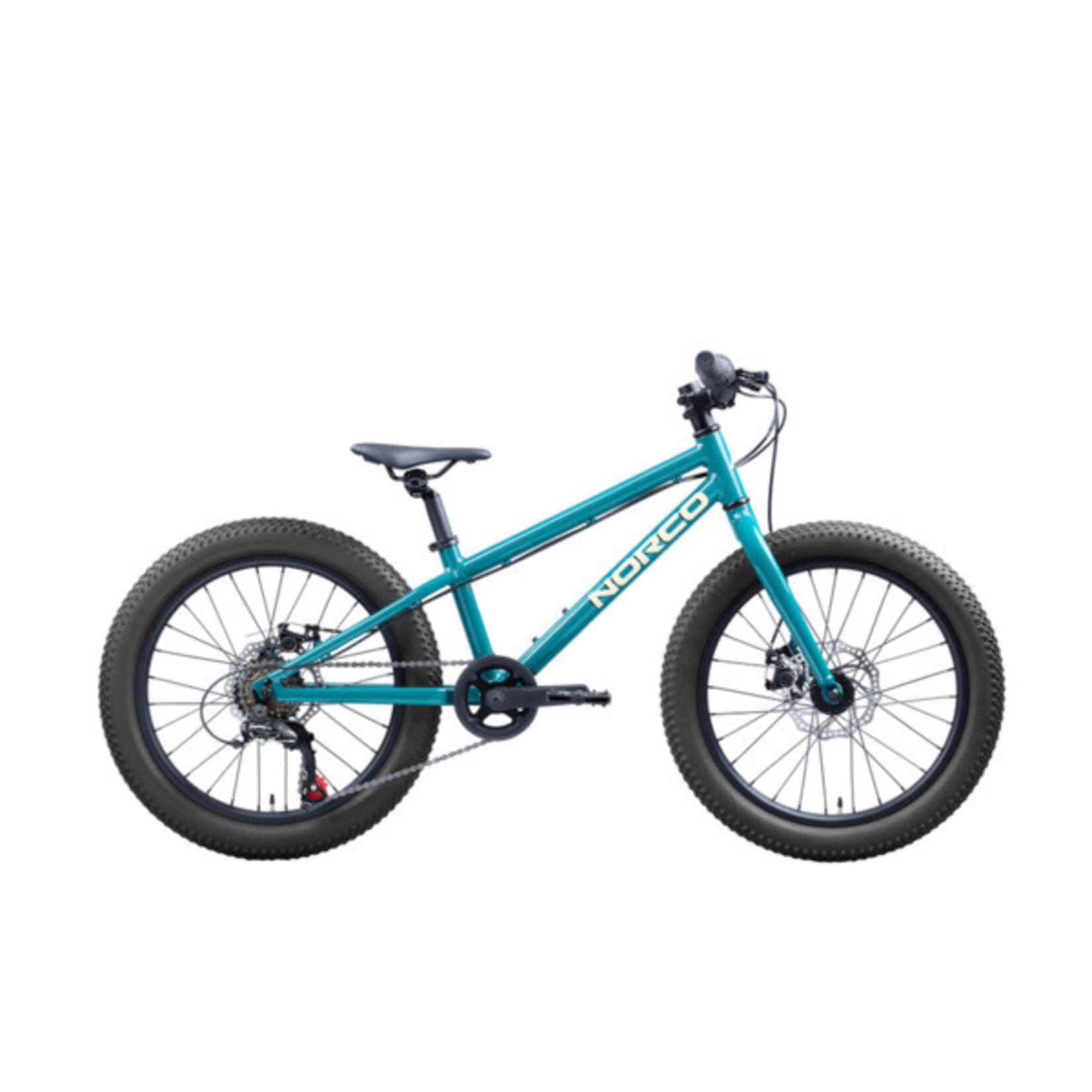 Norco Norco Storm Disc Youth 20"