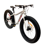 Genesis FAT BIKE GENESIS MAMMOTH 1 -  ARGENT MAT - SMALL/MEDIUM/LARGE