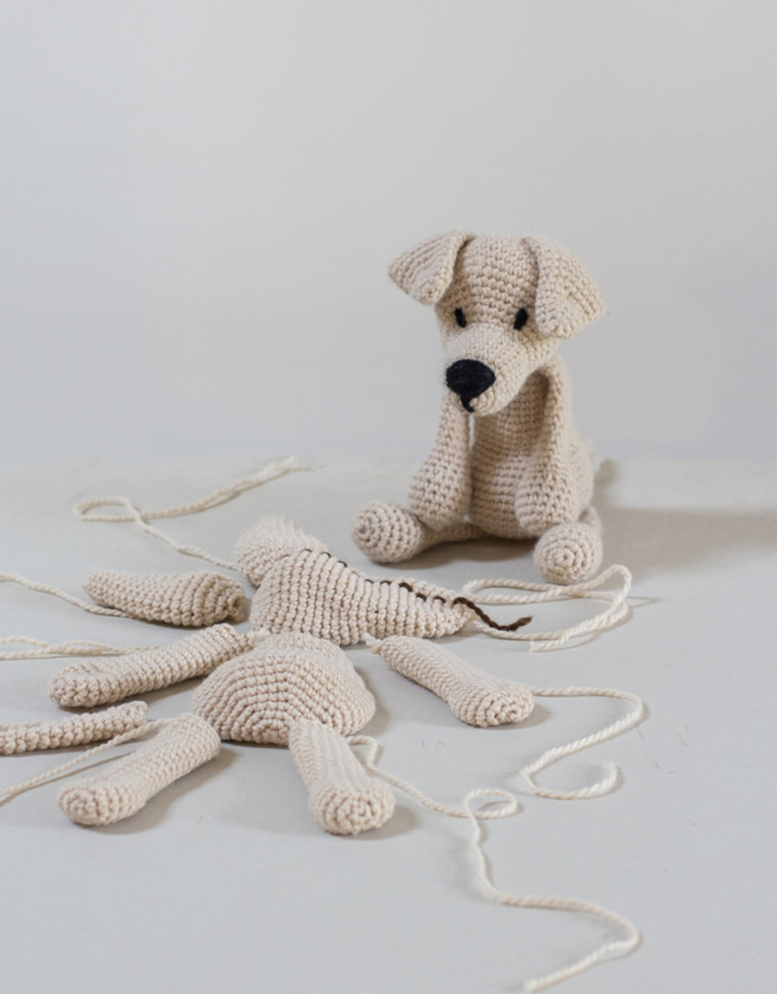 Stranded by the Sea Class: Amigurumi Crochet Animals