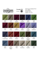 Cascade Yarns Cascade 220