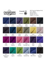 Cascade Yarns Cascade 220