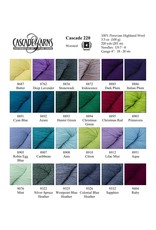 Cascade Yarns Cascade 220