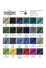 Cascade Yarns Cascade 220