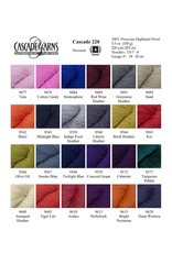 Cascade Yarns Cascade 220