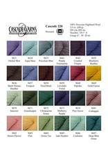Cascade Yarns Cascade 220