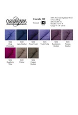 Cascade Yarns Cascade 220