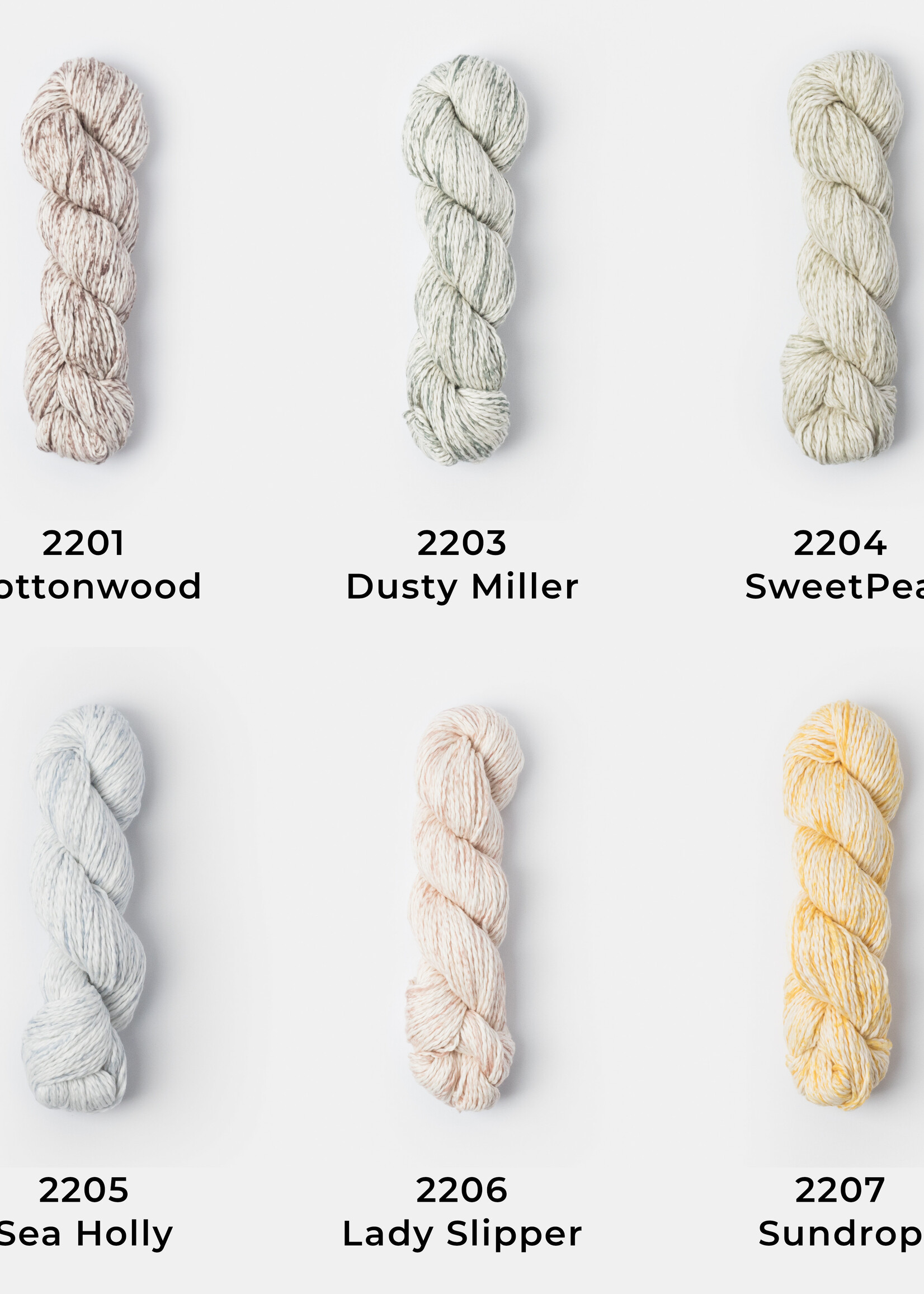 Blue Sky Fibers Blue Sky Organic Cotton Worsted