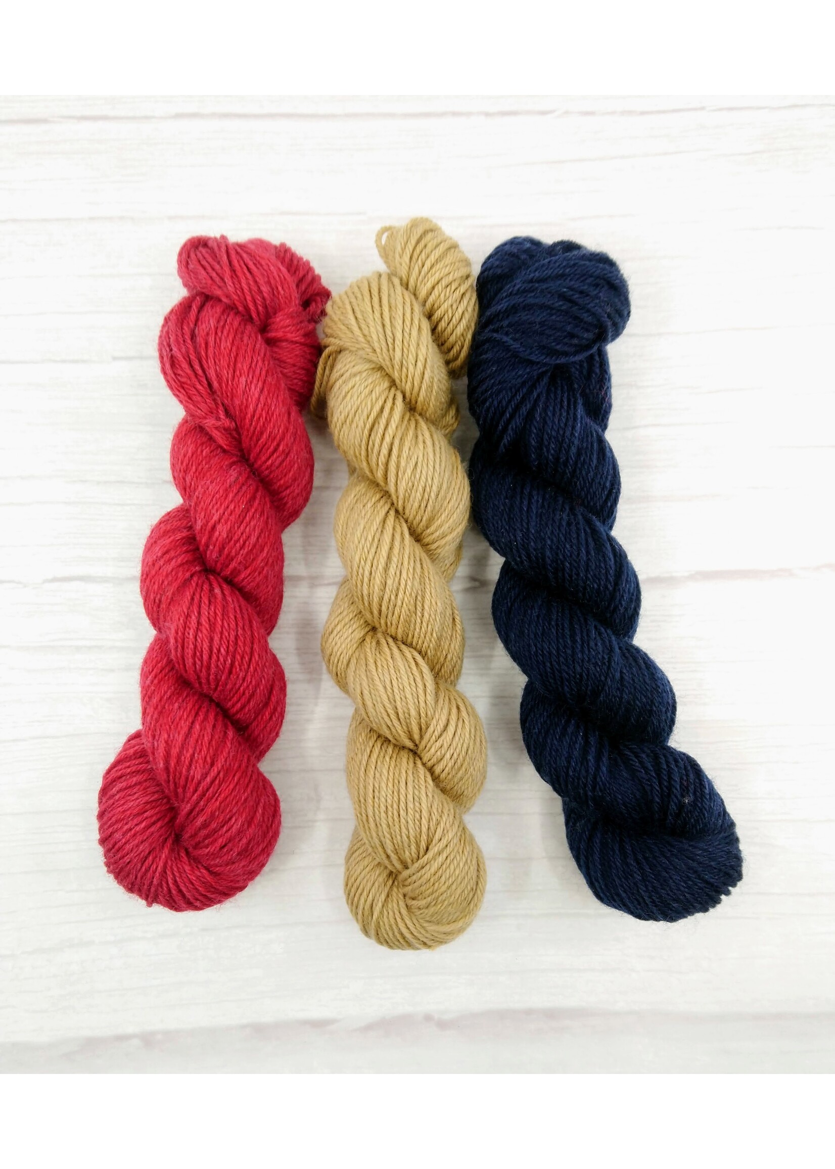 Stranded by the Sea Stranded Darn It All! Sock 20g Minis