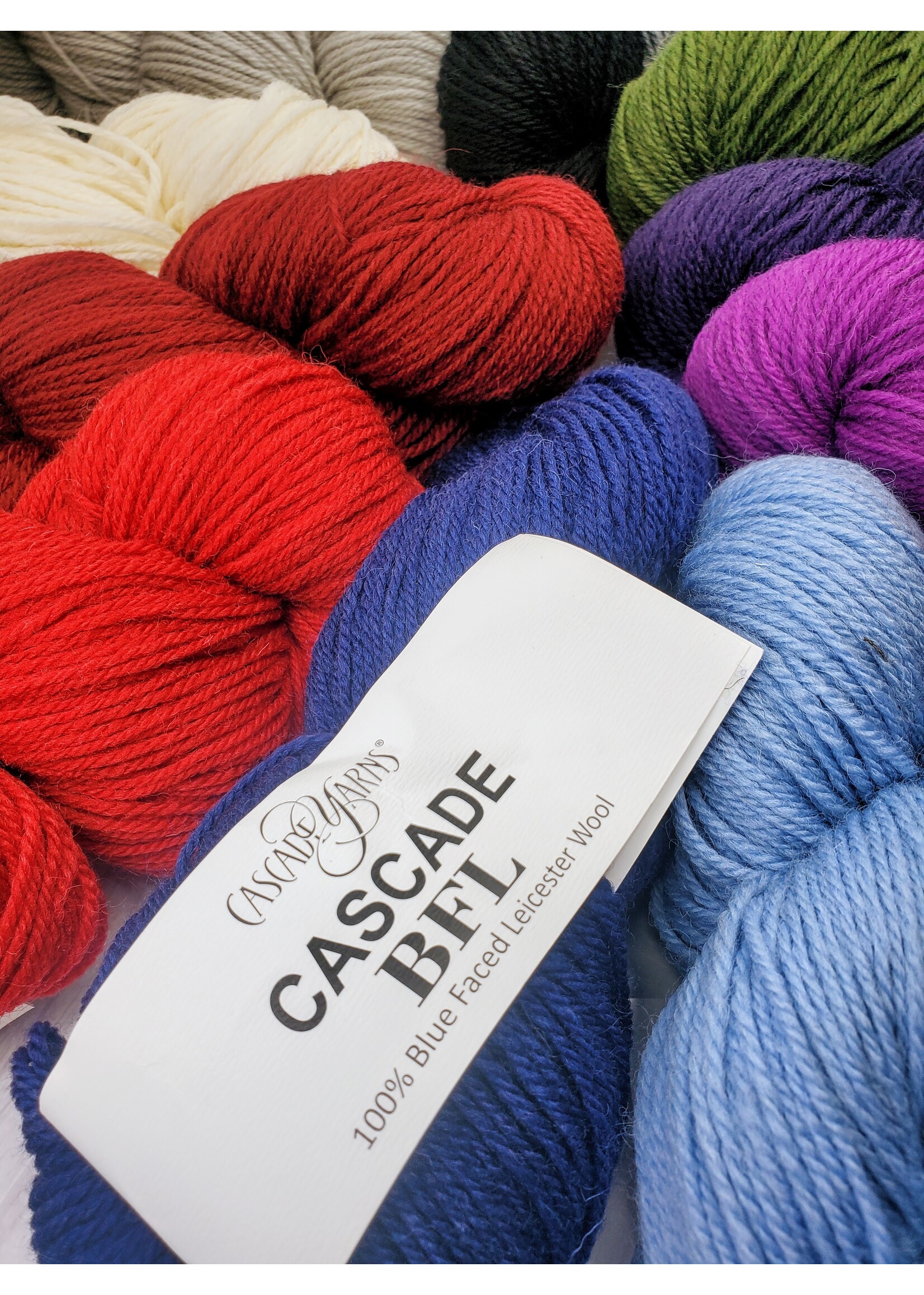 Cascade Yarns Cascade BFL