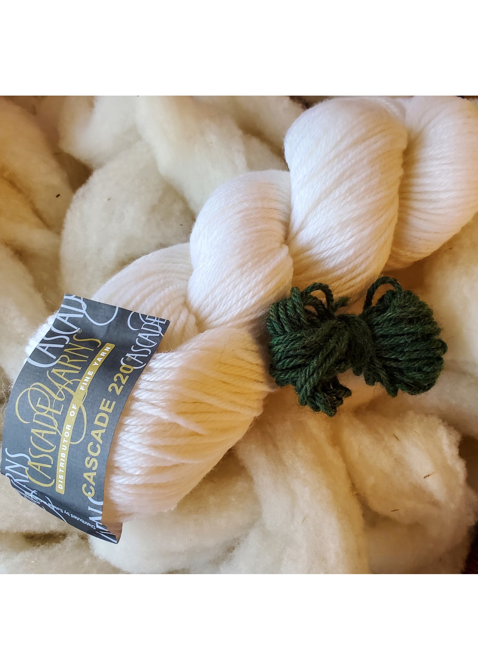 Stranded by the Sea Pumpkin Knitting Kit