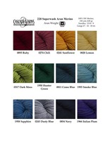 Cascade Yarns Cascade 220 Aran SW Merino
