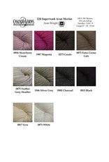 Cascade Yarns Cascade 220 Aran SW Merino