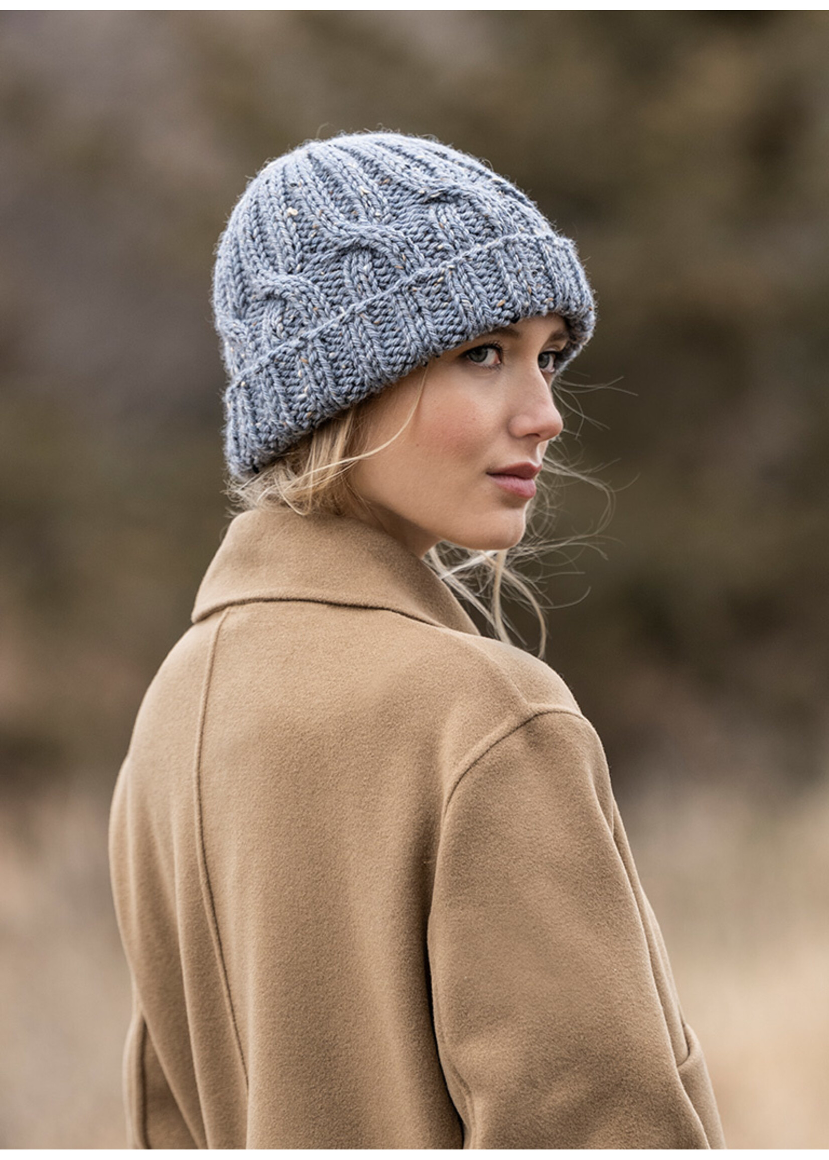 Blue Sky Fibers Blue Sky Woolstok Aran Tweed