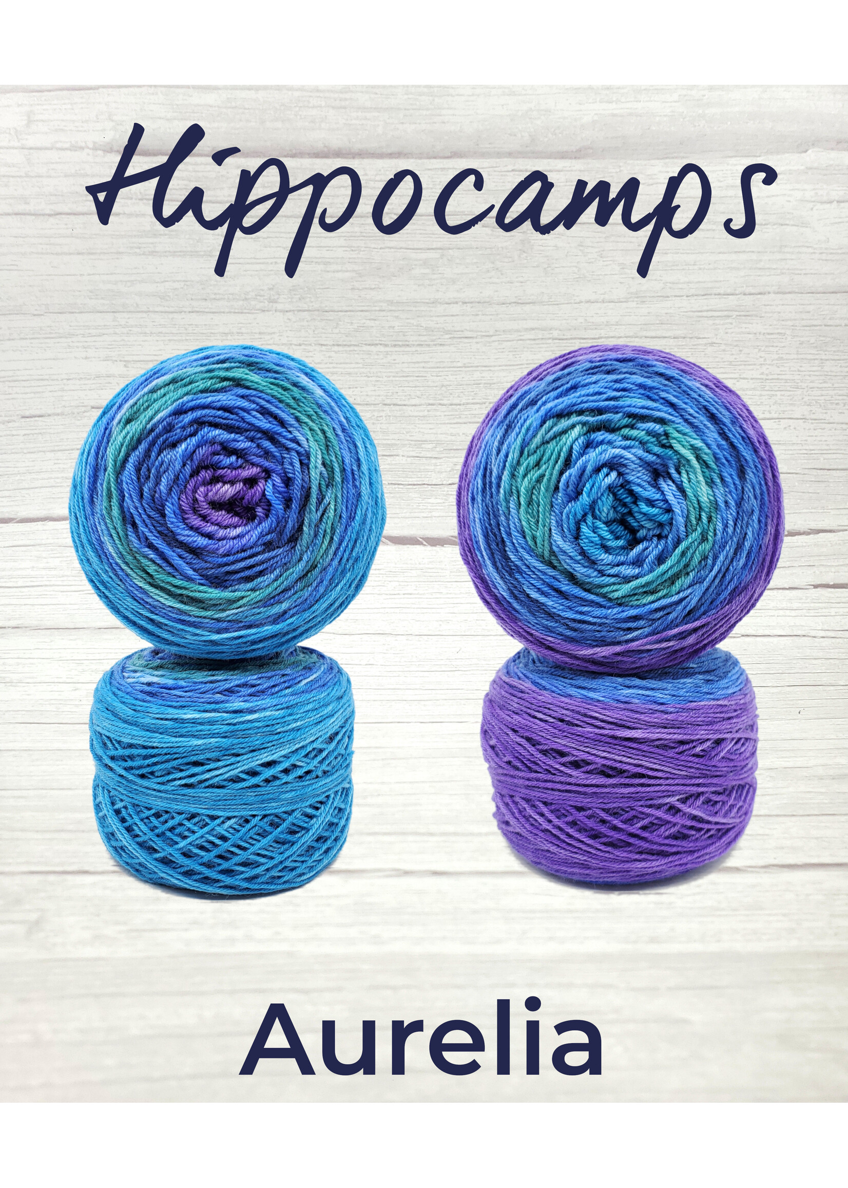 Stranded Studio Hippocamps