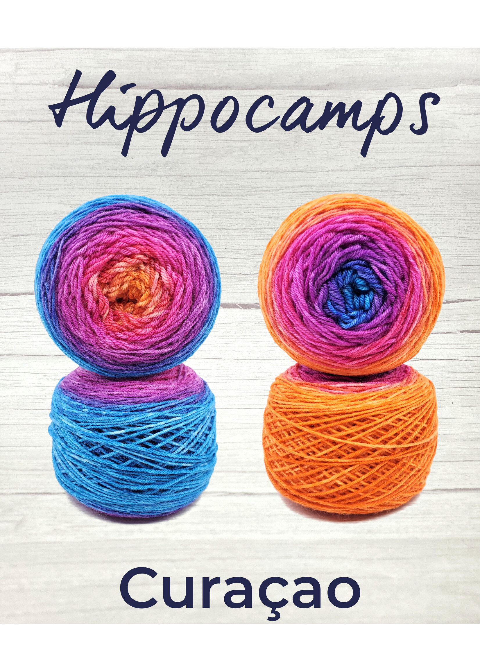 Stranded Studio Hippocamps