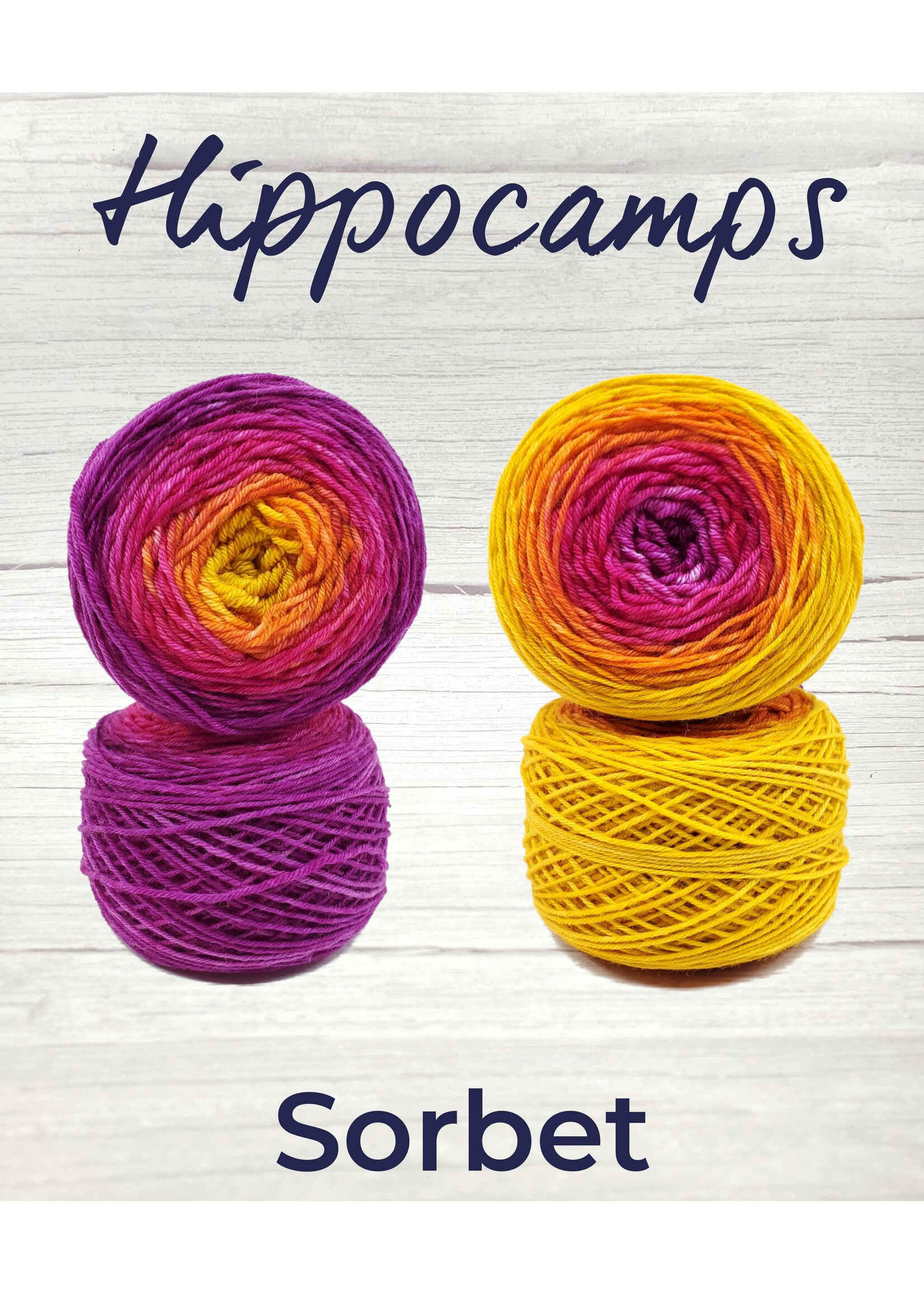 Stranded Studio Hippocamps
